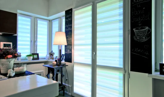 Modernes Wohnzimmer mit großen Fenstern und Dekoration